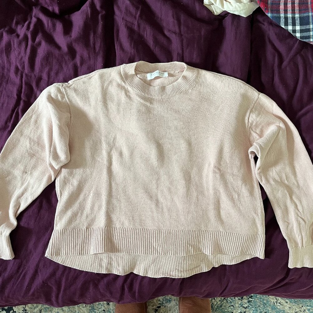 Everlane sweater